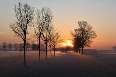 Stop Waking Up at 5 AM: Why Your Morning Routine is Actually Ruining Your Life