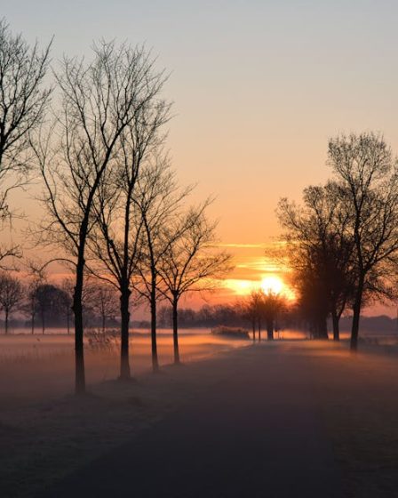 Stop Waking Up at 5 AM: Why Your Morning Routine is Actually Ruining Your Life Stop Waking Up at 5 AM: Why Your Morning Routine is Actually Ruining Your Life