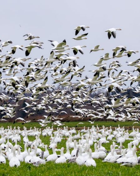 Why 90% of CRM Migrations Fail and How to Save Yours Before It Starts Why 90% of CRM Migrations Fail and How to Save Yours Before It Starts