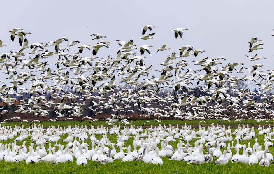 Why 90% of CRM Migrations Fail and How to Save Yours Before It Starts Why 90% of CRM Migrations Fail and How to Save Yours Before It Starts