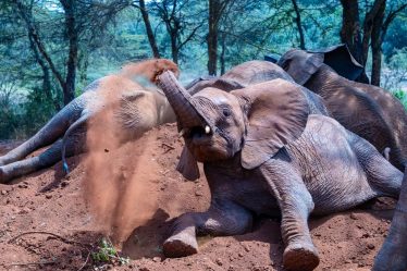 Drunk Elephant Protini Polypeptide Cream Review: Mature Skin Verdict (2026)