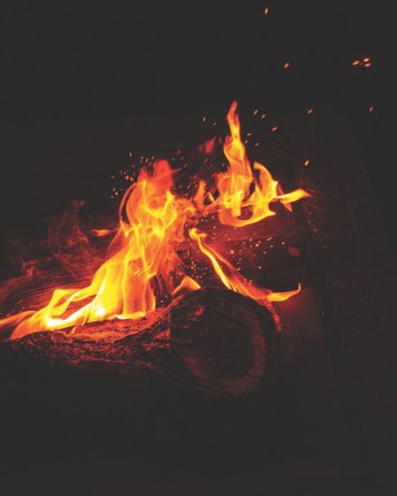 Why I Fired the Client Who Paid 60% of My Bills (And Lived)